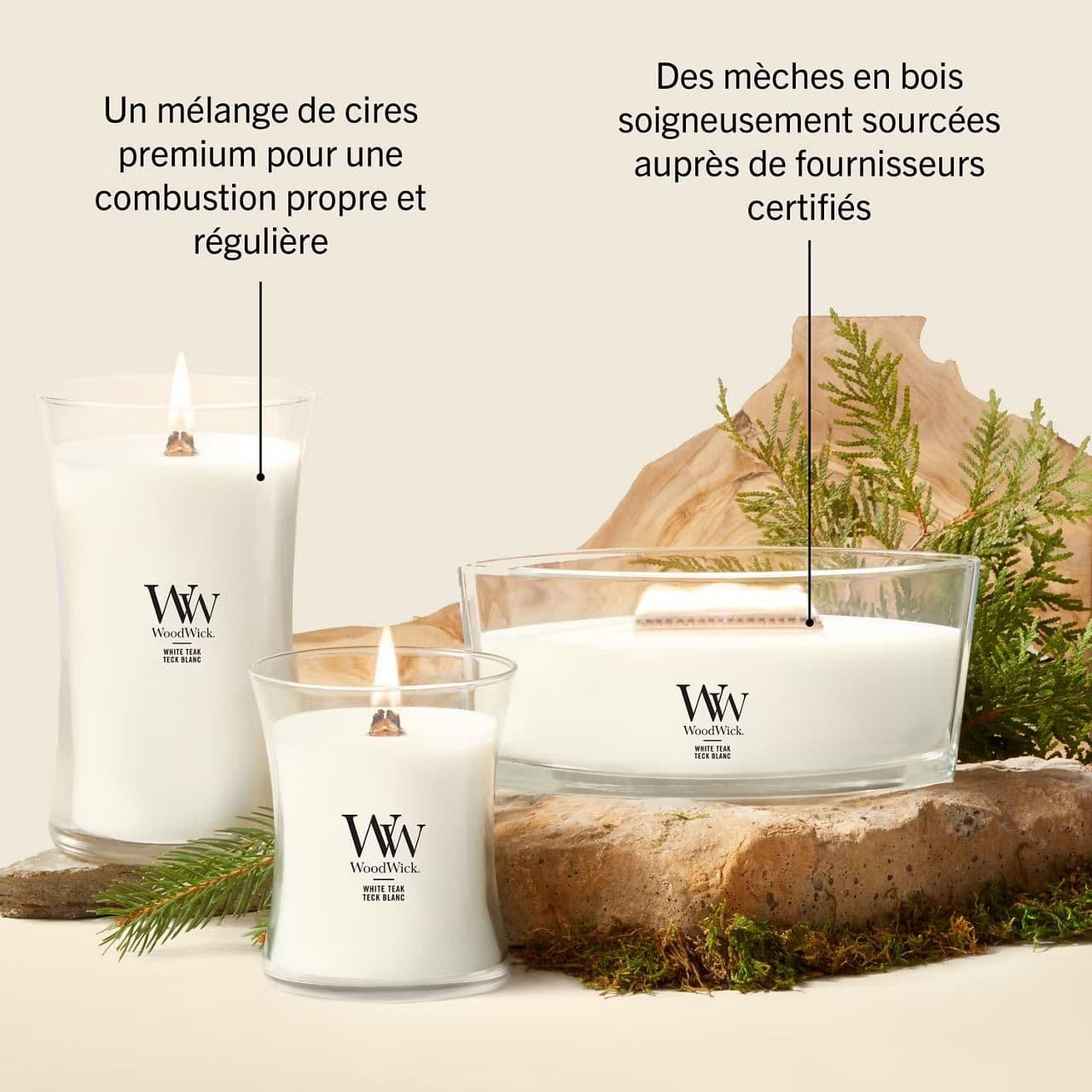 WoodWick - Teck Blanc