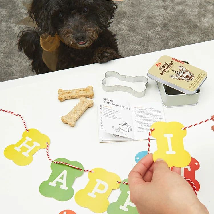 Kit d'anniversaire pour Chien