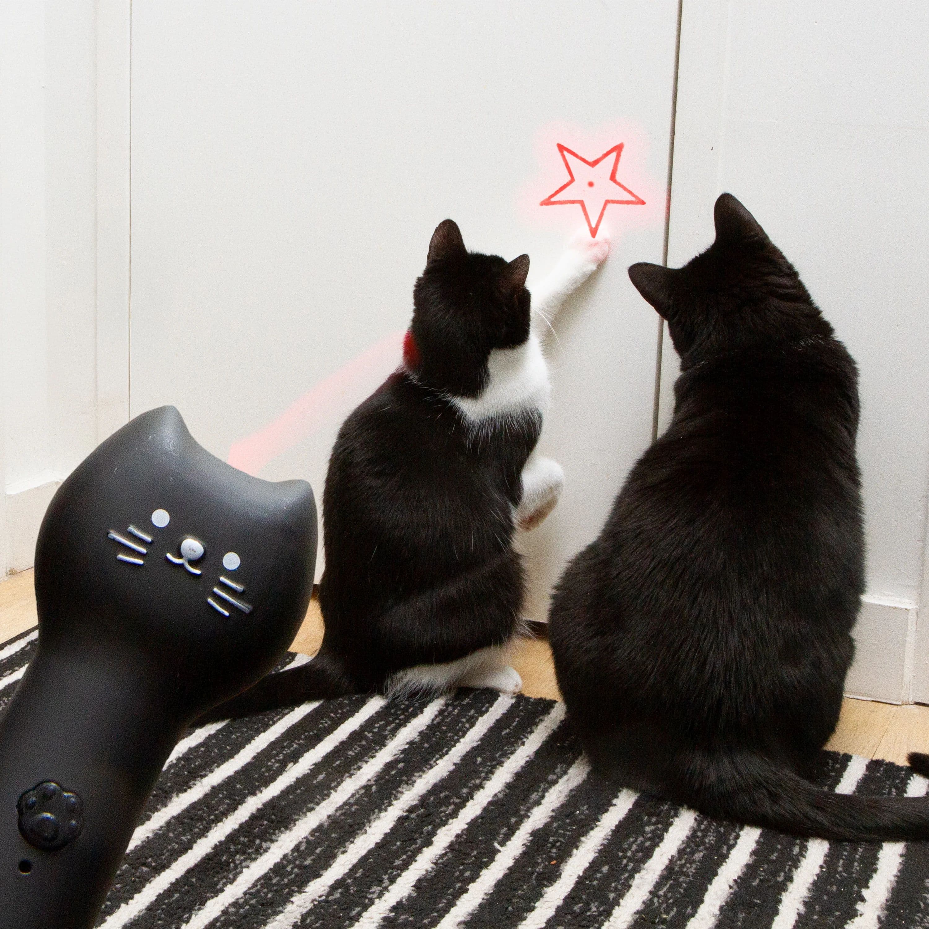 Laser pour chat