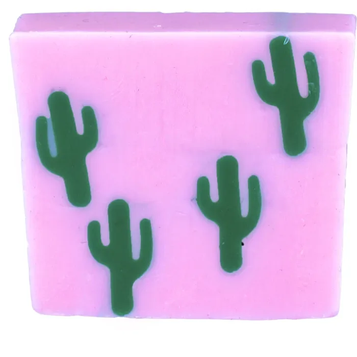 Savon Dur - Cactus